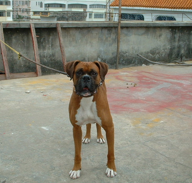 undefined{{pos:,w:,h:}}