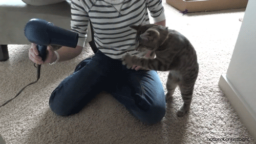 我要酝酿我的小宇宙