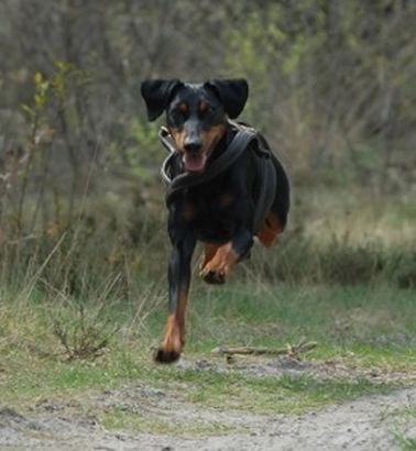 undefined{{pos:,w:,h:}}