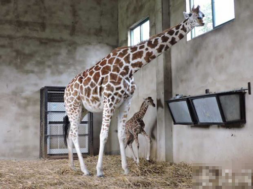 undefined{{pos:,w:,h:}}