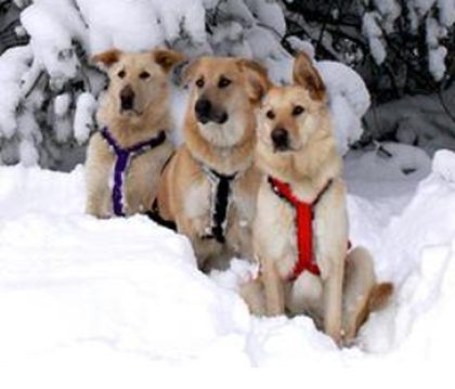 undefined{{pos:,w:,h:}}