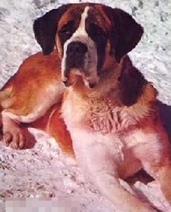 undefined{{pos:,w:,h:}}