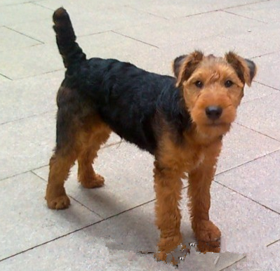 undefined{{pos:,w:,h:}}