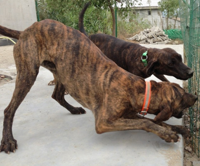 undefined{{pos:,w:,h:}}