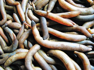 undefined{{pos:,w:,h:}}