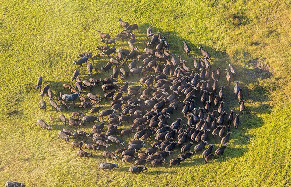 undefined{{pos:,w:,h:}}