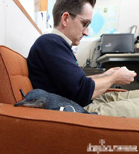 undefined{{pos:,w:,h:}}