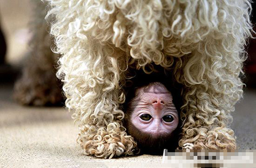 undefined{{pos:,w:,h:}}