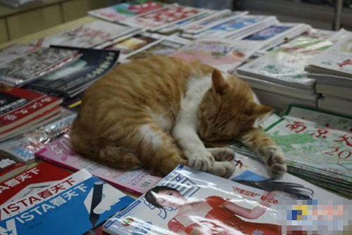 undefined{{pos:,w:,h:}}