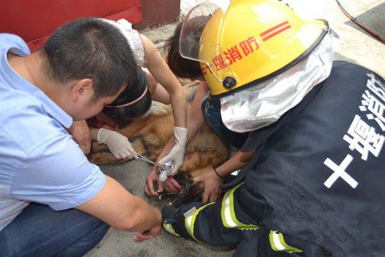 undefined{{pos:,w:,h:}}