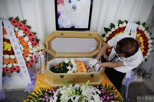 undefined{{pos:,w:,h:}}