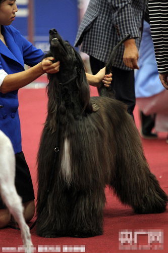 undefined{{pos:,w:,h:}}