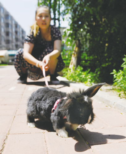 undefined{{pos:,w:,h:}}