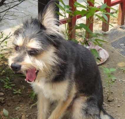 undefined{{pos:,w:,h:}}