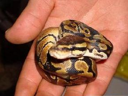 undefined{{pos:,w:,h:}}