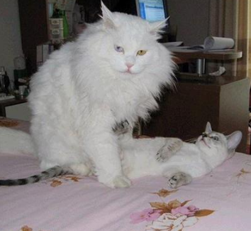 爷的第一部AV，拍好点