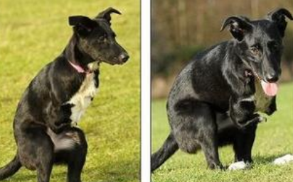 undefined{{pos:,w:,h:}}