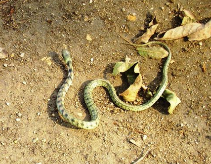 undefined{{pos:,w:,h:}}