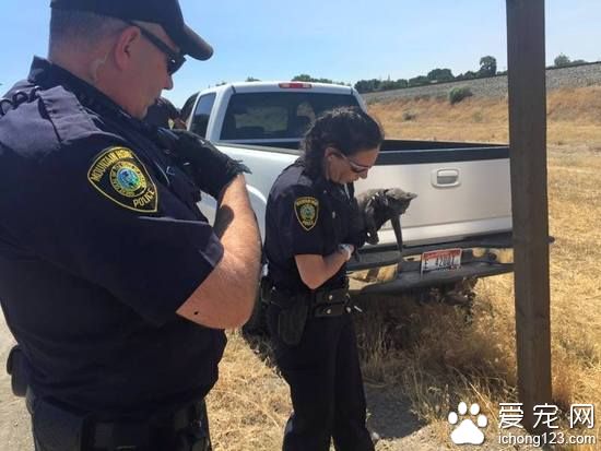 小猫困路标上 警察抽空解救