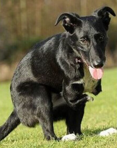 undefined{{pos:,w:,h:}}