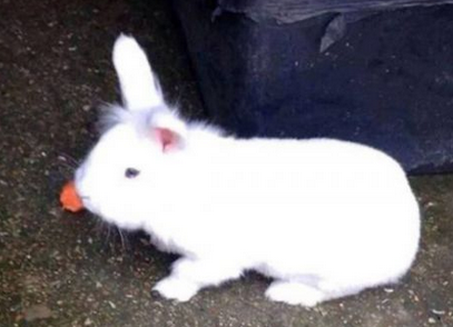 undefined{{pos:,w:,h:}}