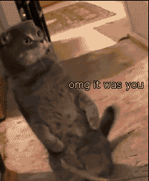 老实一点，给我乖乖站好