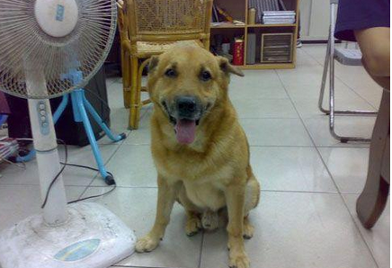 undefined{{pos:,w:,h:}}