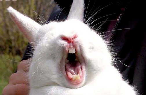 undefined{{pos:,w:,h:}}