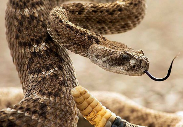 undefined{{pos:,w:,h:}}