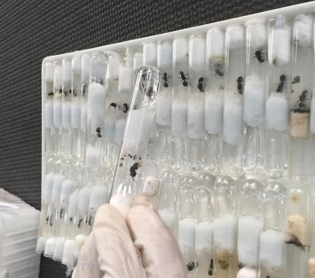 undefined{{pos:,w:,h:}}