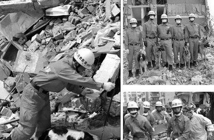 undefined{{pos:,w:,h:}}