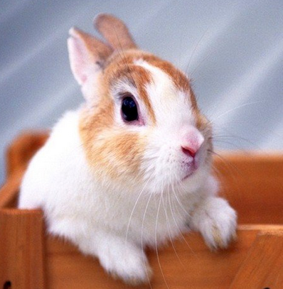 undefined{{pos:,w:,h:}}