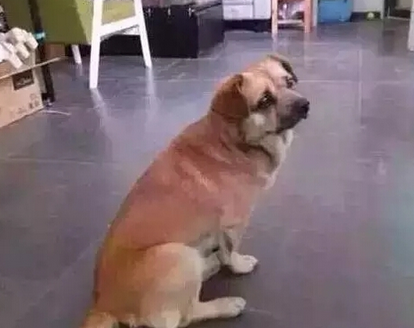 undefined{{pos:,w:,h:}}