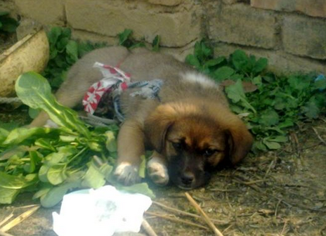 undefined{{pos:,w:,h:}}