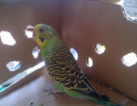 undefined{{pos:,w:,h:}}