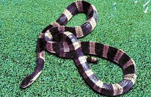 undefined{{pos:,w:,h:}}