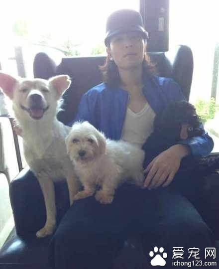 男孩与鳐鱼成好友 明星宠物大曝光孙俪收养7只流浪狗