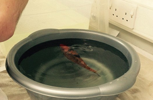 undefined{{pos:,w:,h:}}