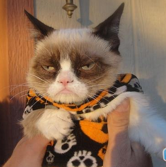 你把我家没头脑弄哪里去啦