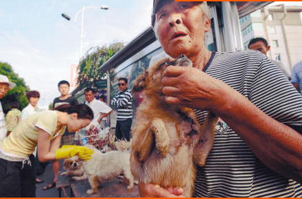 undefined{{pos:,w:,h:}}