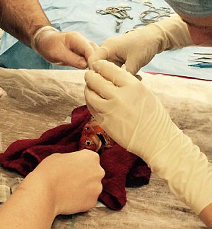 undefined{{pos:,w:,h:}}