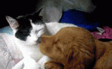 你们不要太恩爱好吧！