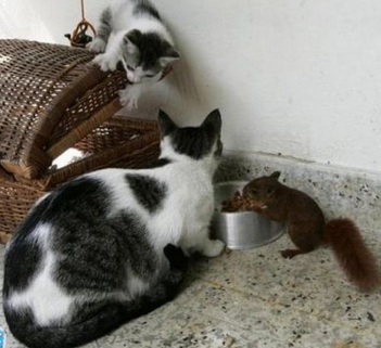 嘿，你妹啊，吃我的午饭！