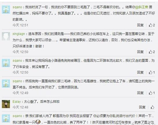 瘸腿小狗“被遗弃”引热议 当事人出面发言