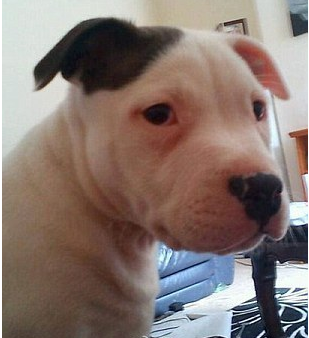 undefined{{pos:,w:,h:}}