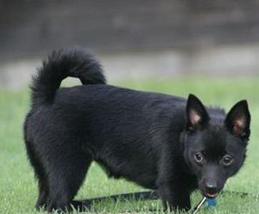 undefined{{pos:,w:,h:}}