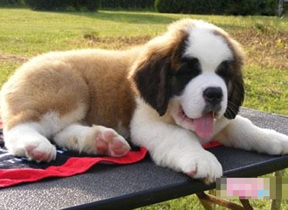 undefined{{pos:,w:,h:}}