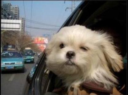 undefined{{pos:,w:,h:}}