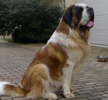 undefined{{pos:,w:,h:}}