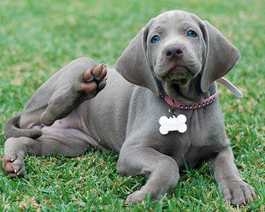 undefined{{pos:,w:,h:}}